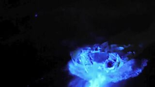 Romantic fluorescent sea