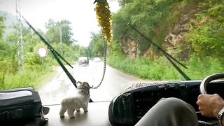 Kohistan to  mansyra @