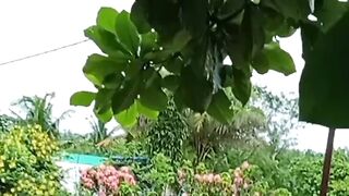Local flowers