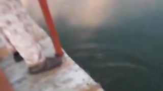 MORE FISH 2