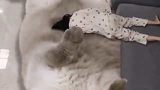 Утро понедельника среды!