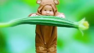 Funny videos 181