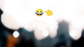 Funny song 7