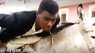 My beb turns to Donkey