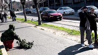 Bushman Pranks AREA Bushman