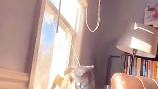Funny dog 25