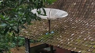 Javanese countryside