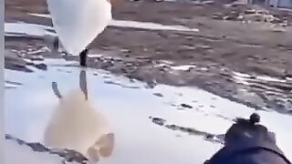 Wee videos 66