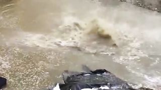 TRY NOT TO LAUGHING I Best Funny Videos Compilation 2023 # 178