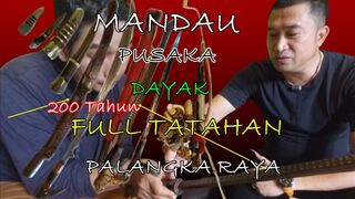 Melihat Koleksi mandau kuno pusaka Dayak Kota  palangka Raya