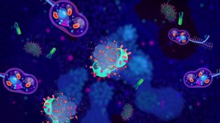 Brain-eating Amoeba, The Most Horrific Parasite
