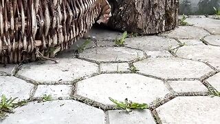 Прикол 44