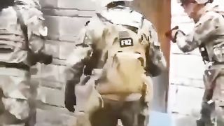 Прикол 46