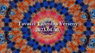 Netye Ancsi_belly dance drumsolo ???? 720p