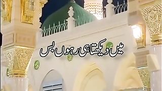 نیو سٹیٹس ویڈیو 2023 19