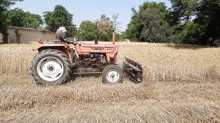 Harvesting session