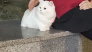CUTENESS OVERLOAD..