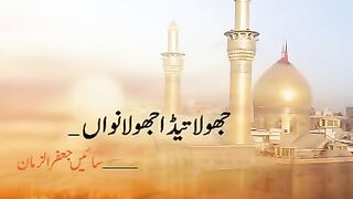 Jhoola Teda Jhoolanwan - Album_11 (2010) - Zeeshan Haider