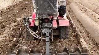Funny videos 183