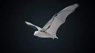 Tech video 2