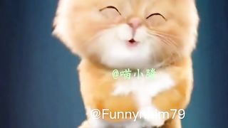 2023 Funny cat sings funny cat sings funny cat meow song in universes.