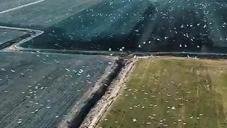 Beautiful nature of world