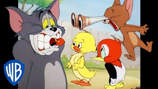 Tom & Jerry | Animal Kingdom | Classic Cartoon Compilation | WB Kids
