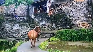 Amazing Nature Beauty Beautiful View