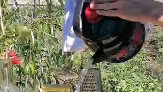 СРЕДСТВО ПРОТИВ КОЛОРАДСКИ БРЪМБАР 2