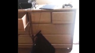 You Definitely Laugh, Trust me - Funniest Cats Expression Video - Funny Cats Life 3
