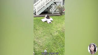 Funny Baby Playing With Vehicles Outdoors - Falling Down Car || Funny Vines