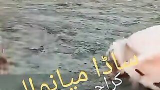 Funny video spot me