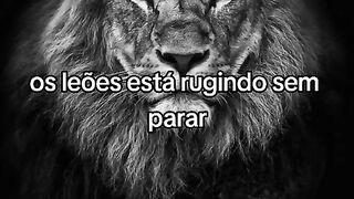hinos para sua vida