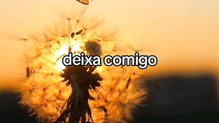 Elianefernandes