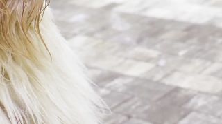 DOGGY