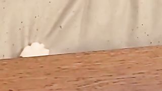 funny animals - cat acting strange - pet cat 2