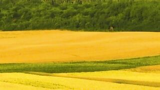 Amazing nature 4