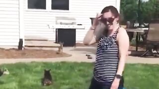 Funny video fail compilations