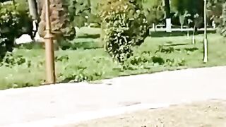 МАШРАБ