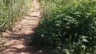 Beauty of world/Bhara kahu Islamabad #nature Pakistan/sohailT22vlog