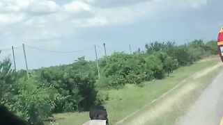 Safe but Dangerous Travel