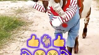 Funny video spot me 2