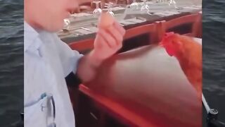 meme just talk with chicken