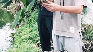 poor turtle ! বেচারা কচ্ছপটি !