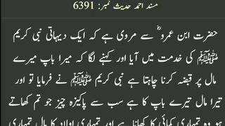 میری جَانب بھی ہو اِک نگاہِ کرم، اے شفیع الواریٰﷺ، خاتم الانبیاءﷺ 30