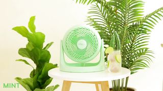 IRIS USA WOOZOO Air Circulator Fan, Vortex Fan, Desk Fan, Portable Fan, 3 Speed Settings