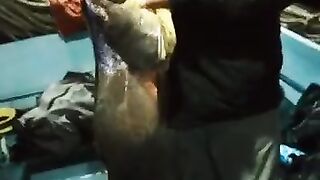 Giant fish catching