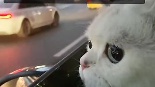 ???????????????????????? 25
