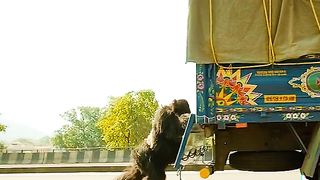Funny video spot me 3