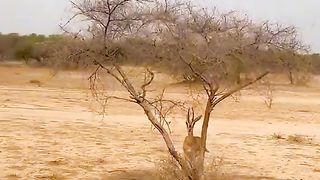 Nature beautiful 2